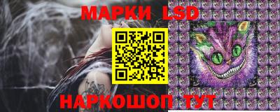 СК Новодвинск