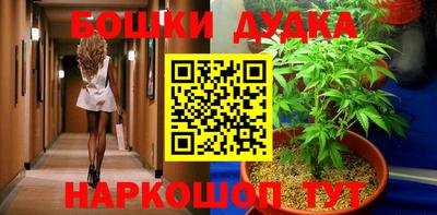 СК Новодвинск