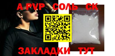 СК Новодвинск